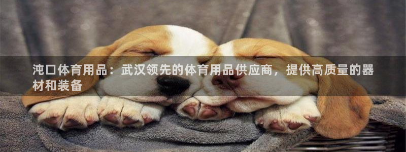 欧陆娱乐不让提现：沌口体育用品：武汉领先的体育用品供