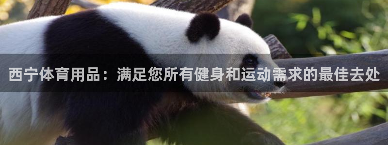 欧陆娱乐提现多久到账：西宁体育用品：满足您所有健身和