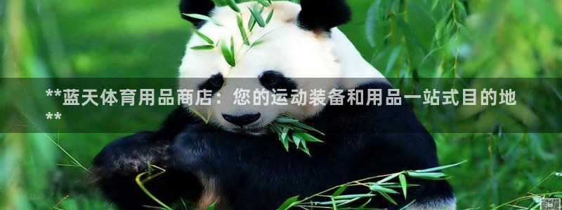 欧陆娱乐是干什么的：**蓝天体育用品商店：您的运动装