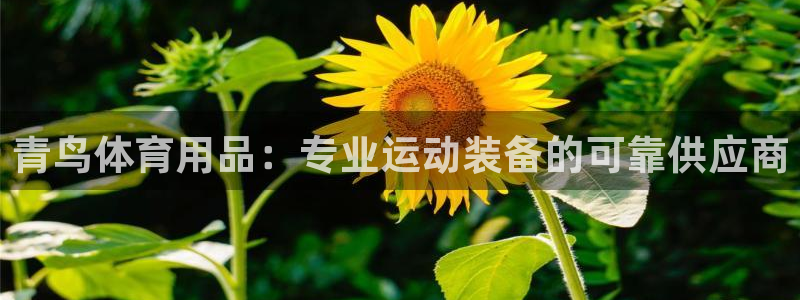 欧陆娱乐平台毕 (q—43314) 旨：青鸟体育用品