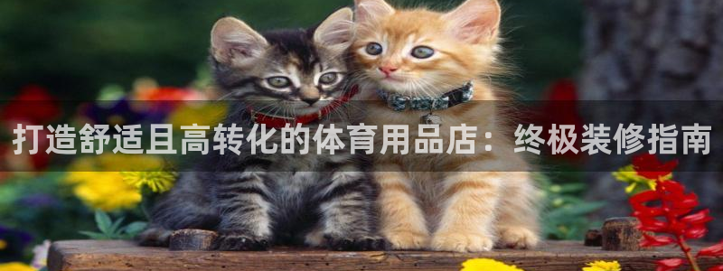 欧陆娱乐测速网站：打造舒适且高转化的体育用品店：终极