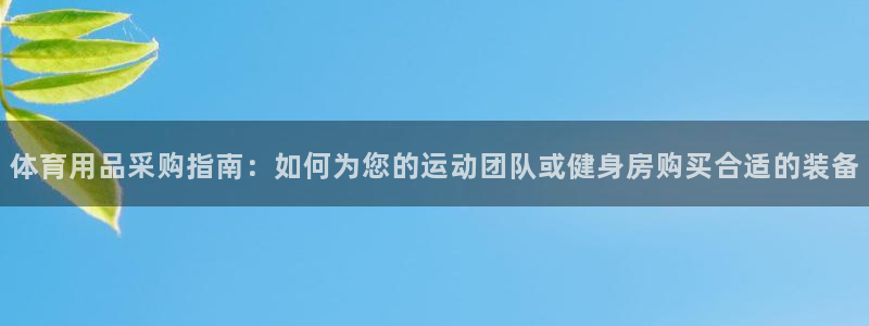 欧陆娱乐官网网址：体育用品采购指南：如何为您的运动团