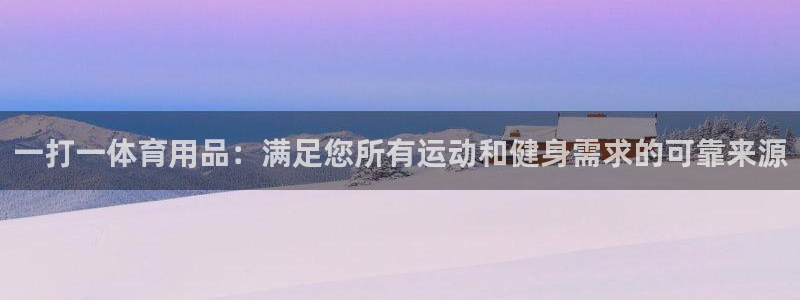 欧陆娱乐官方：一打一体育用品：满足您所有运动和健身需